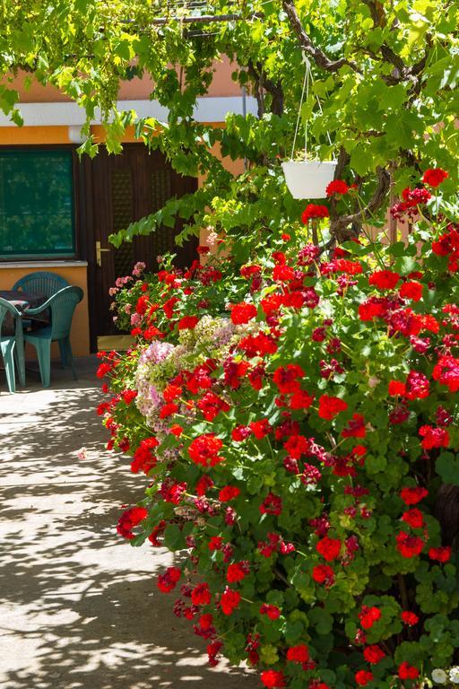 Apartments Stefanovski Paradiso Veli Lošinj Rom bilde